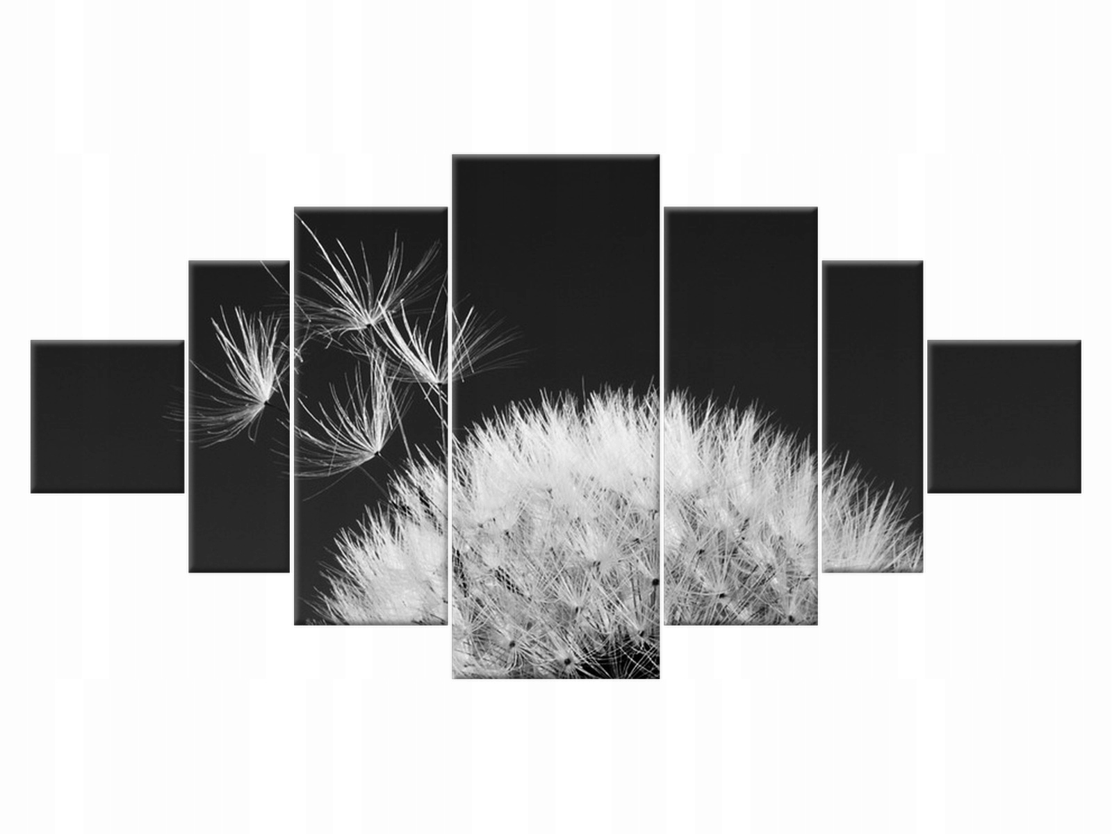 

Obraz 200x100 Kwiaty Dmuchawiec Mniszek lekarski