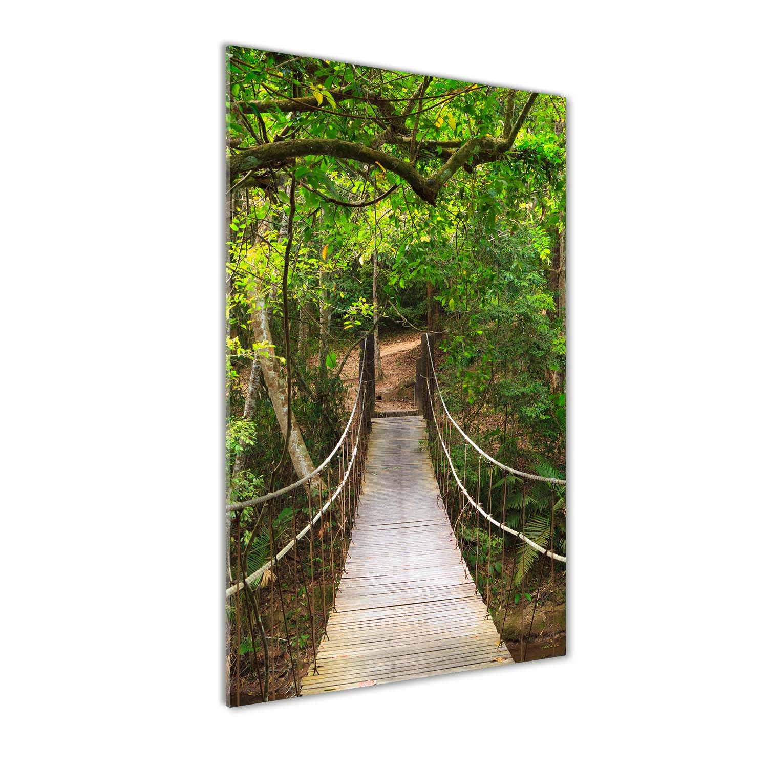 

Foto obraz na szkle Most wiszący w lesie 70x140 cm