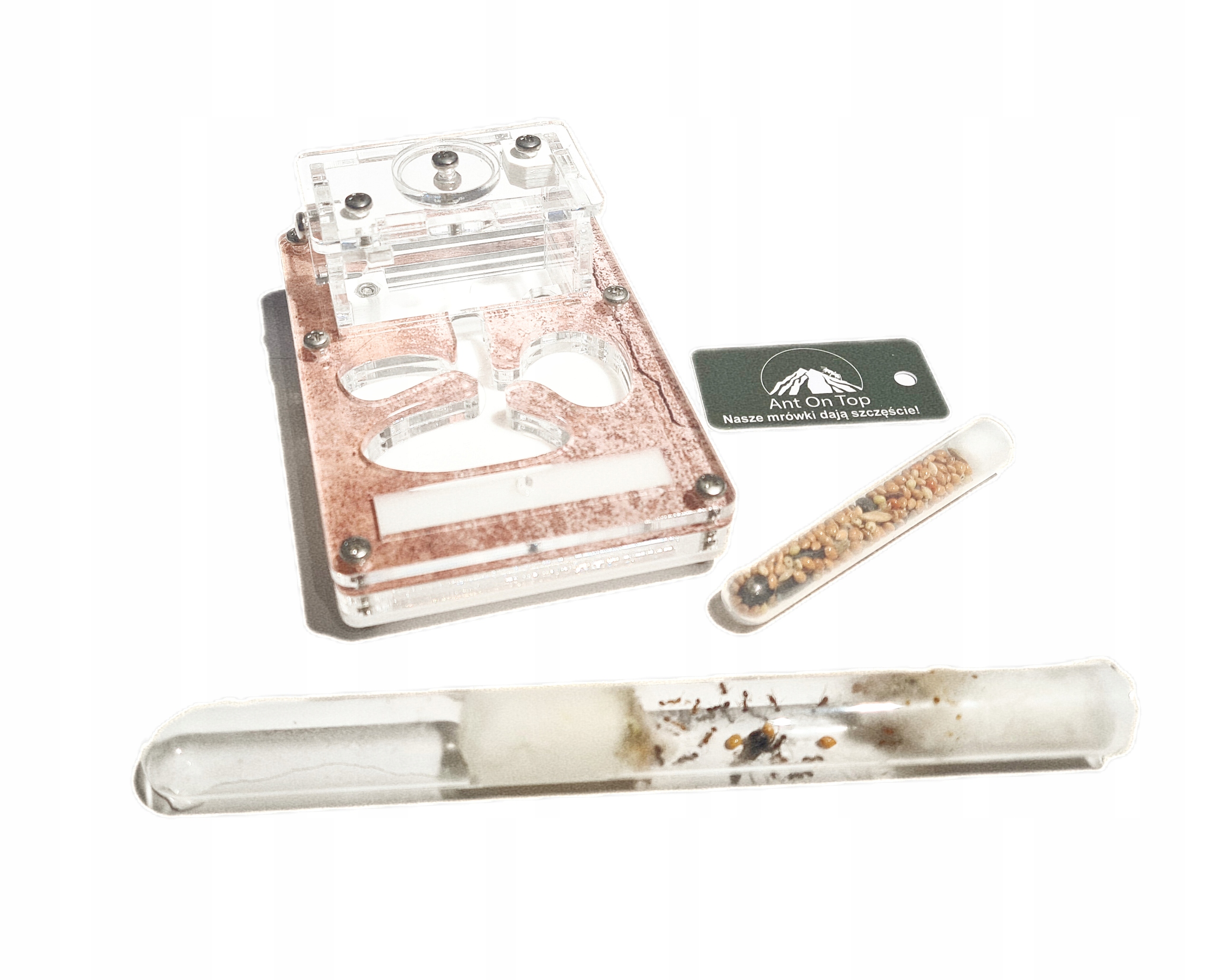 Levně Sada Start pro chov mravenců z formikária Vzdělávací sada