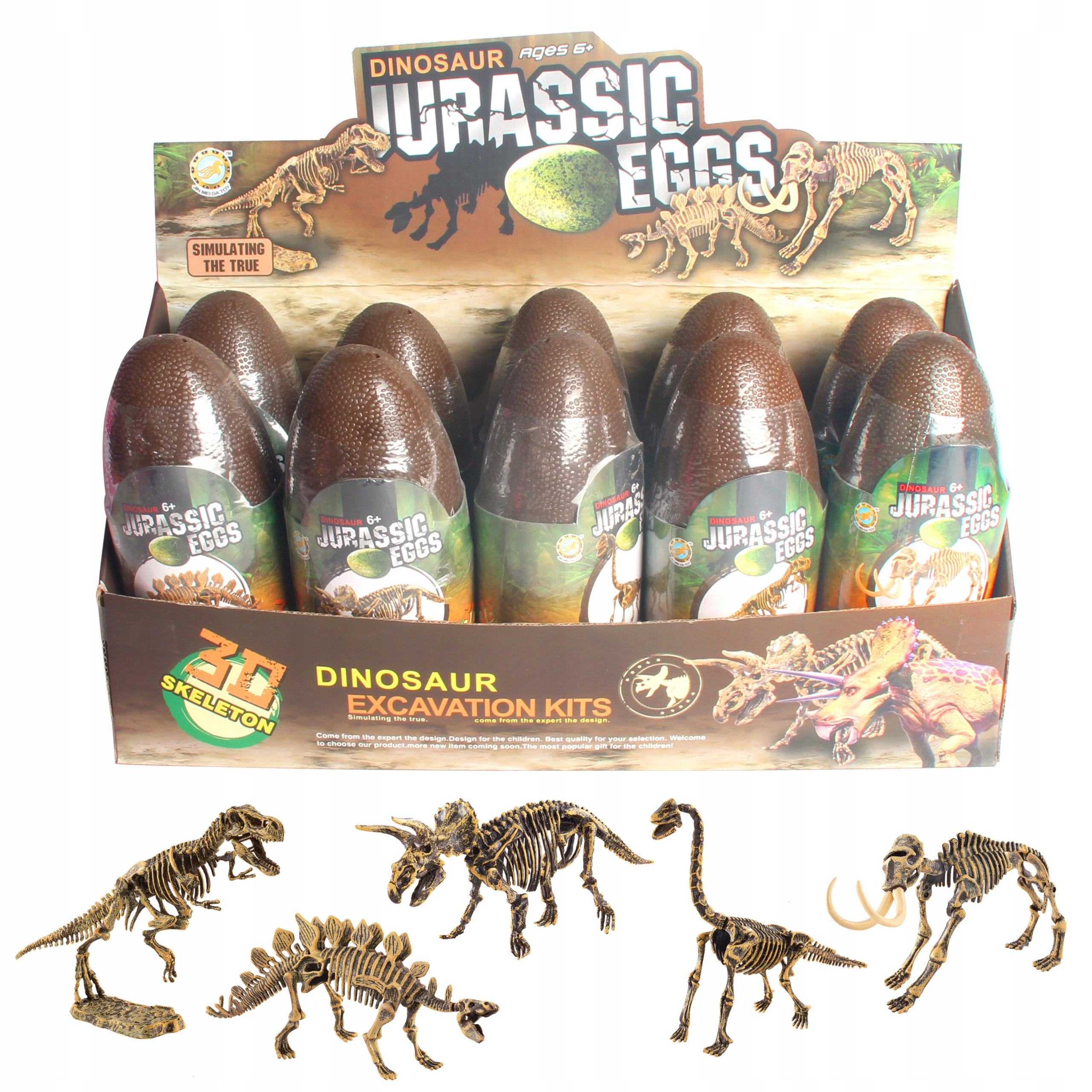 

Dinozaur Wykopaliska skamielina Szkielet W Jajku