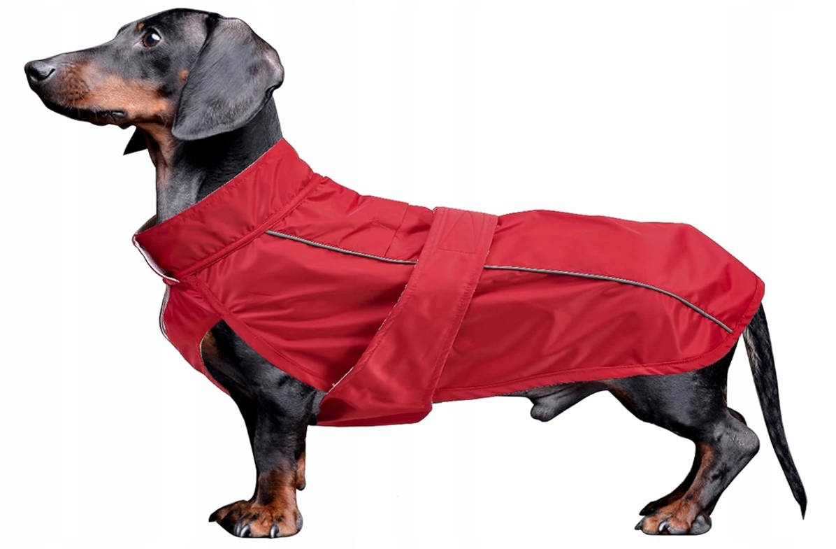 Levně Pláštěnka pro psa Morezi – červená, velikost L