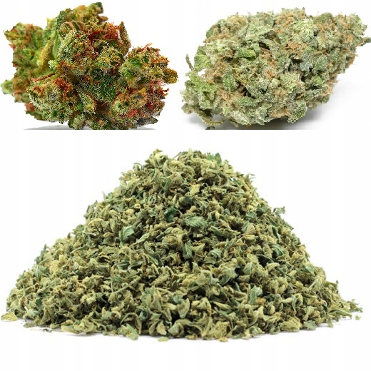 

Rozdrobniony Mocny susz Cbd Trym Thc <0,3% 10g