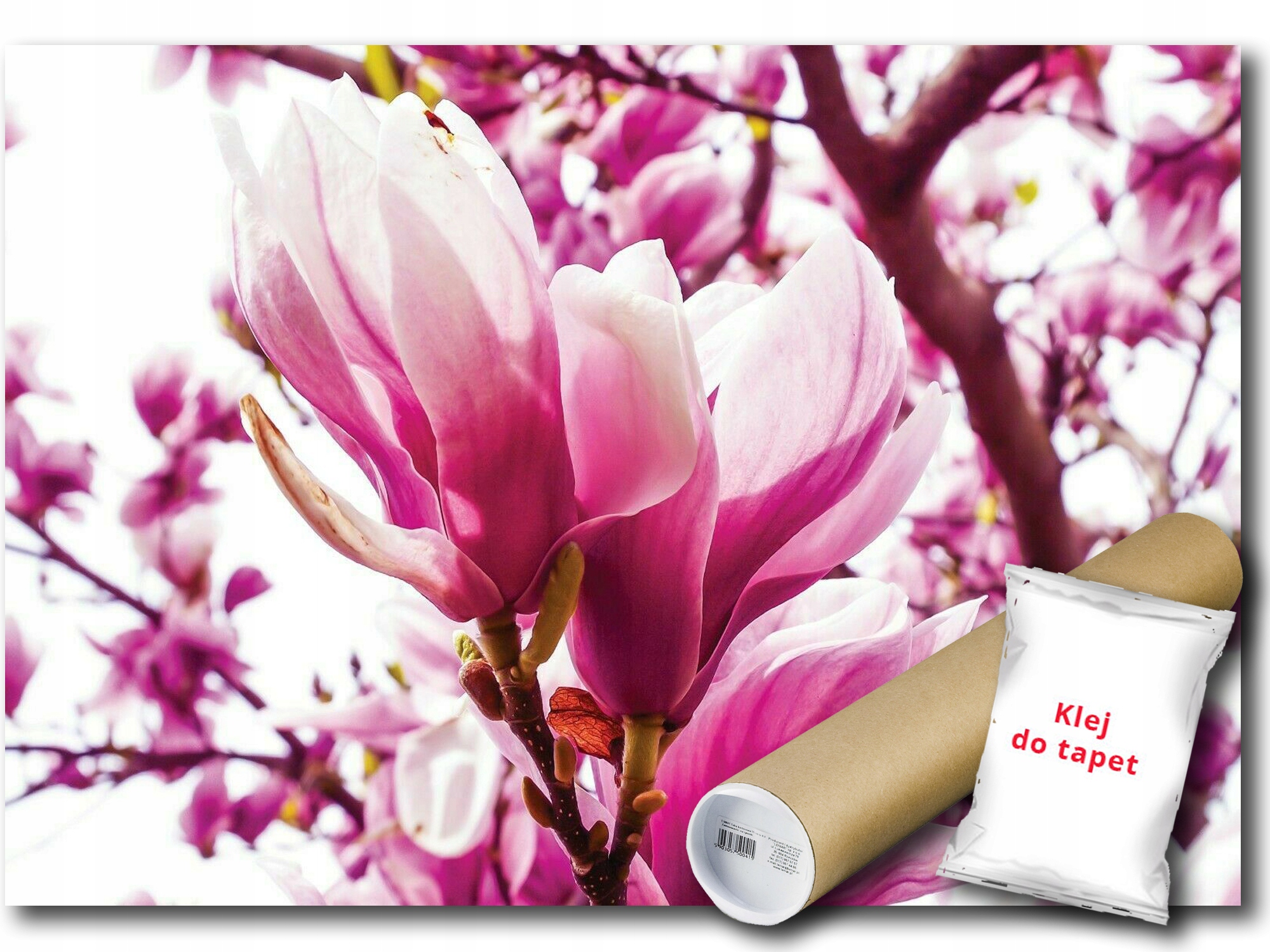 Fototapeta Flizelina Magnólia Kvety 312x219