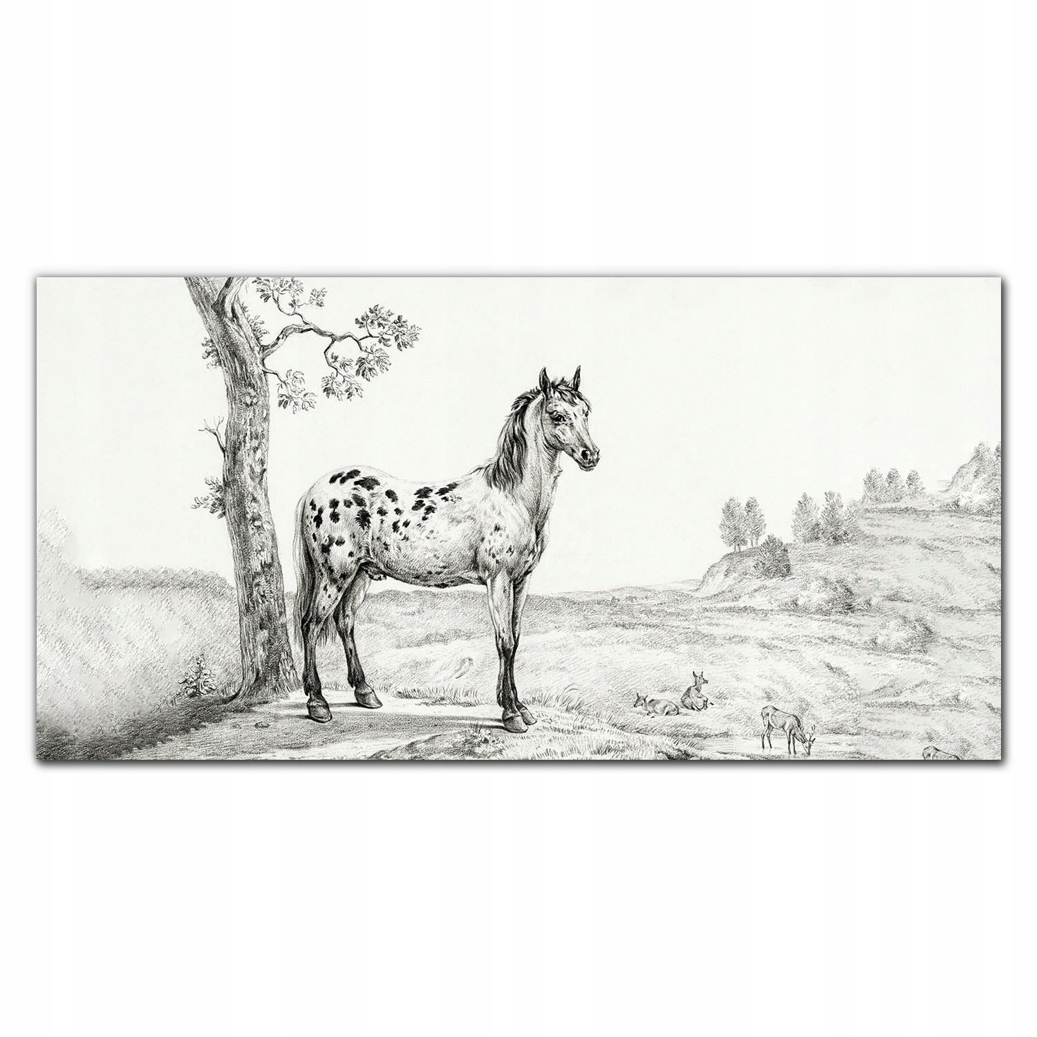Fotoobraz na ráme plátno Zvieratá kôň 140x70 cm