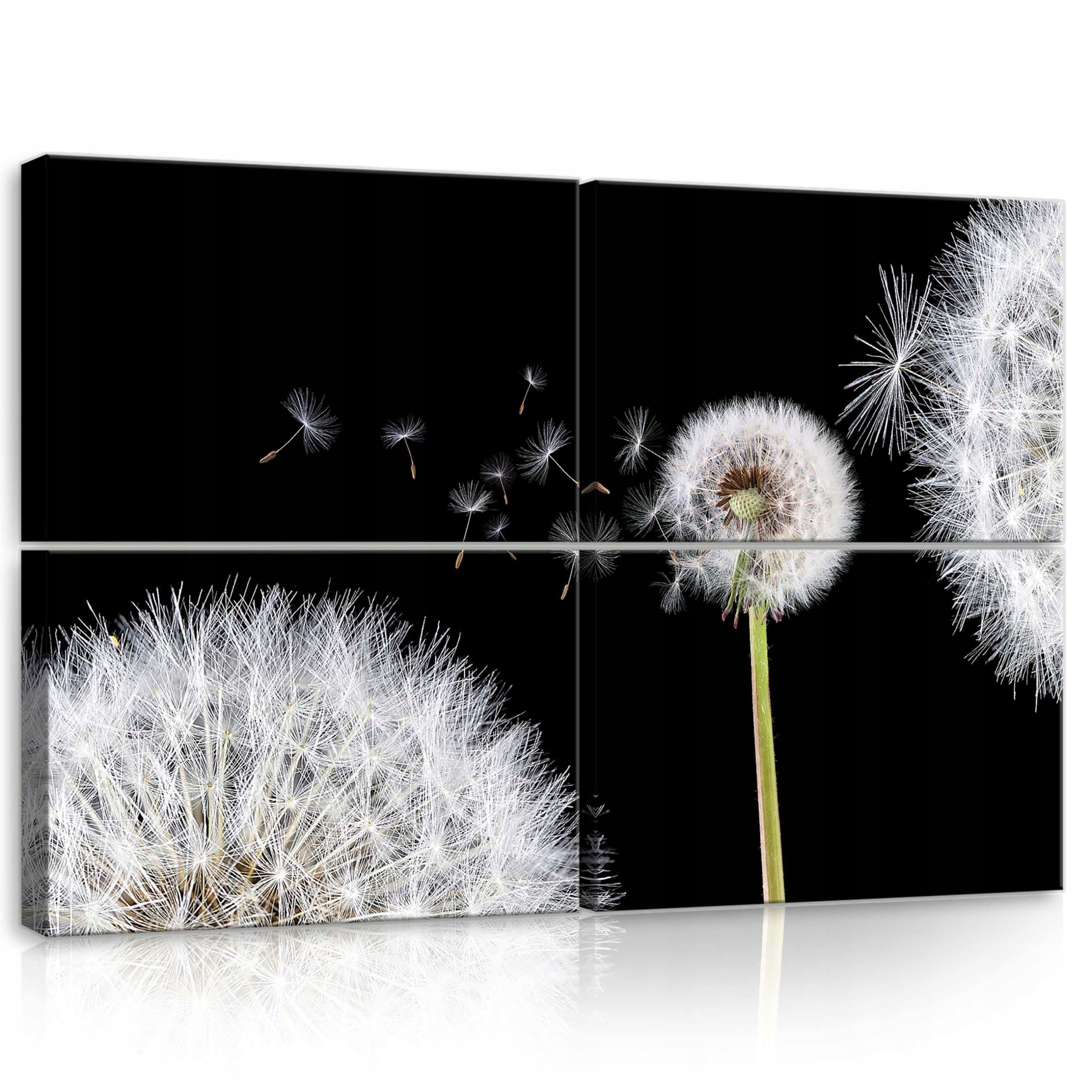 Obraz 120x80 Púpava lekárska semená púpava príroda makro ľahkosť leto