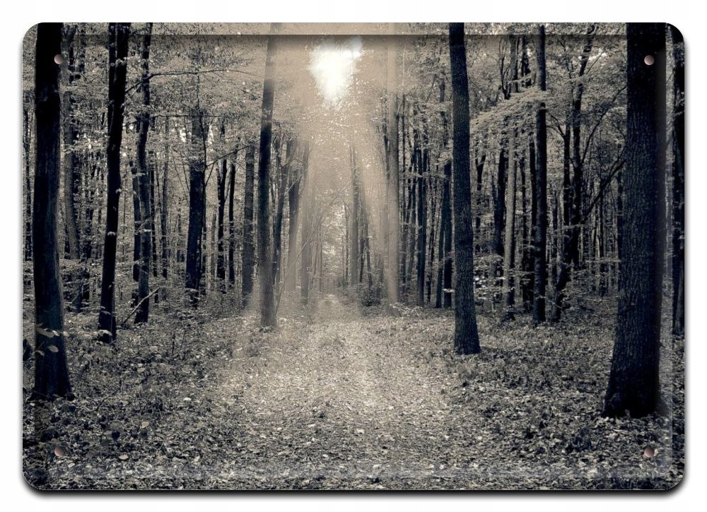 Metalowy Szyld Plakat Obrazek Vintage Retro #08829