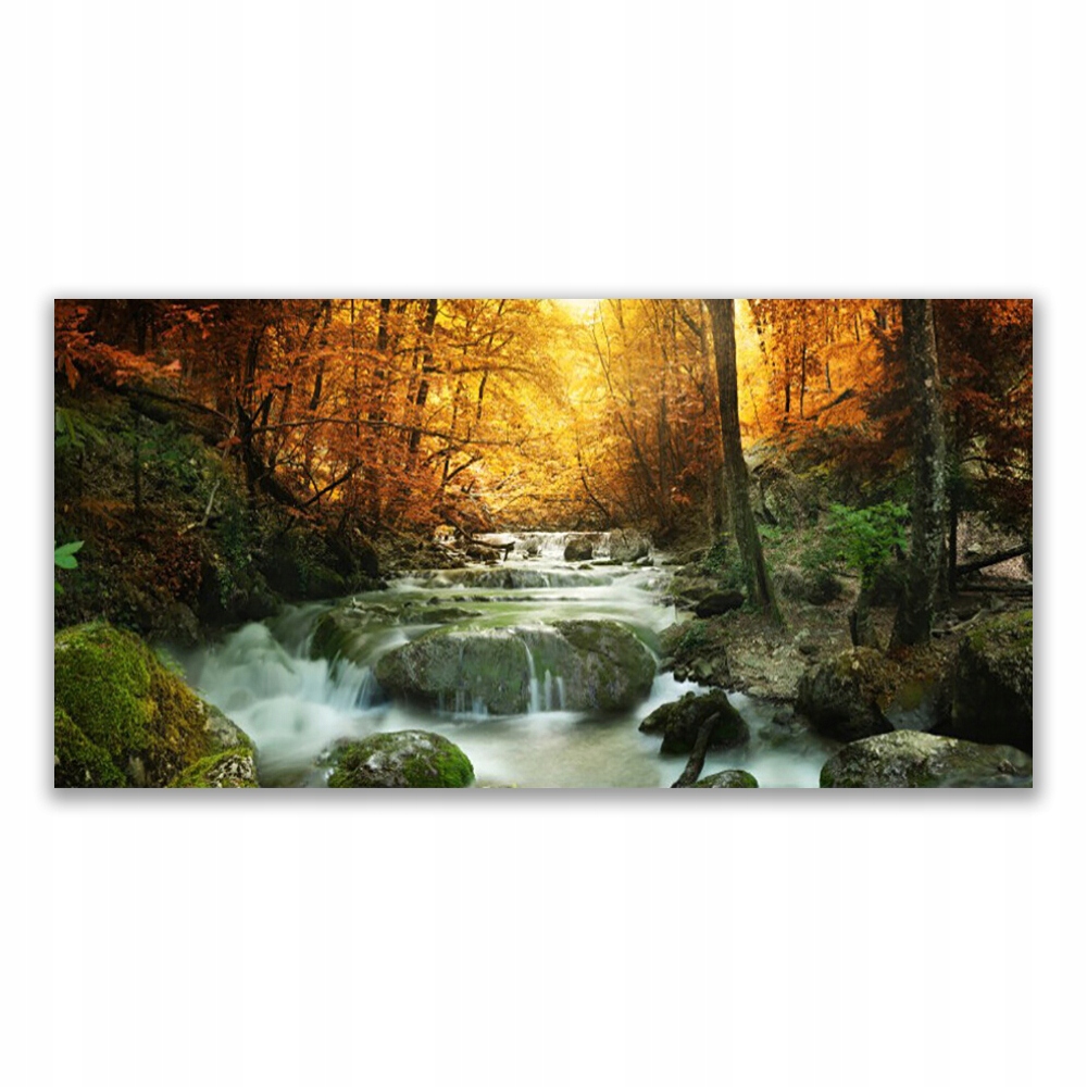 

Obraz na ścianę 120x60 Wodospad Natura Las Jesień