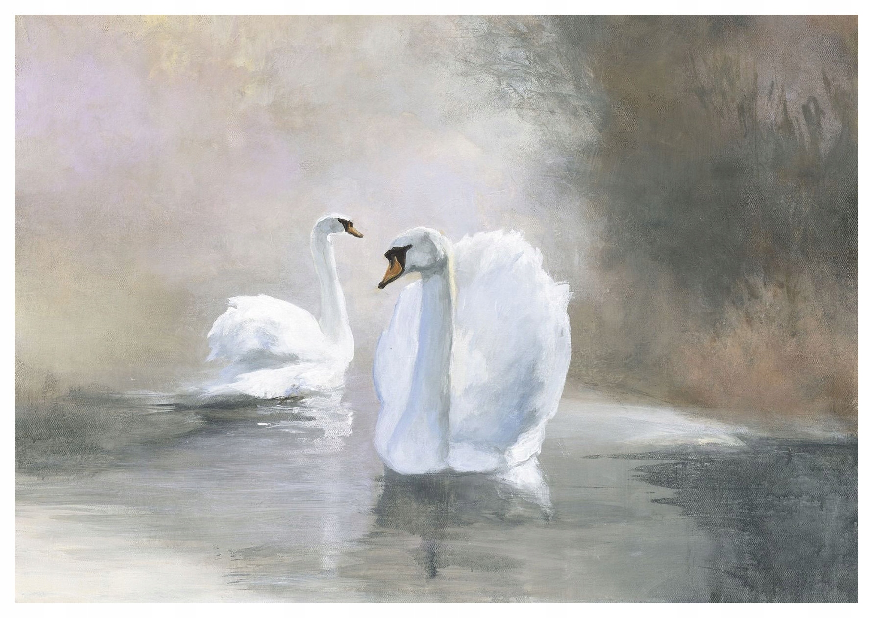 Fototapeta Labutě akvarel harmonie klid vinylová 254x184 lepidlo