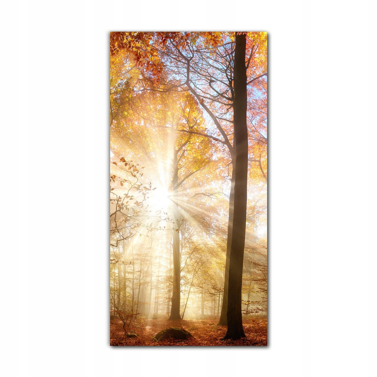 

Obrazy szklane do kuchni 70x140 Jesień natura las