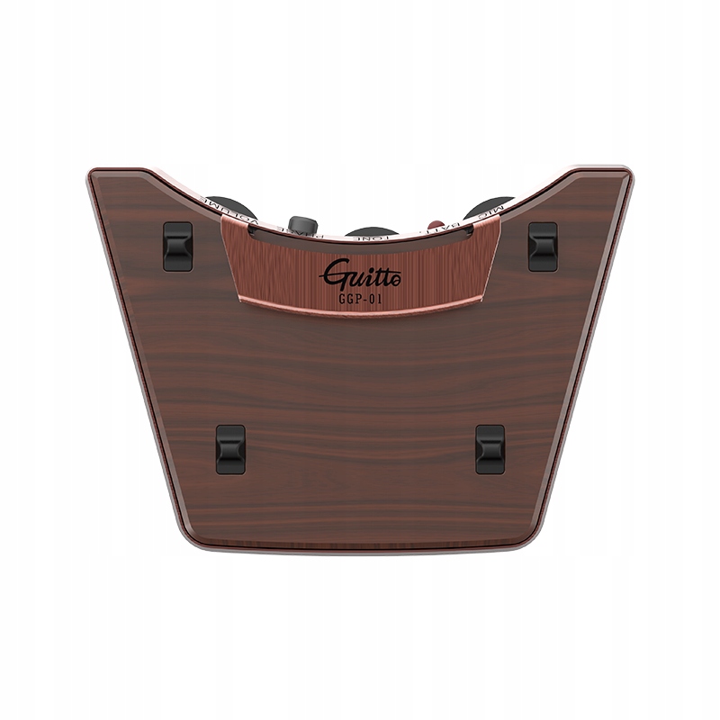 Przetwornik Guitto GGP-01