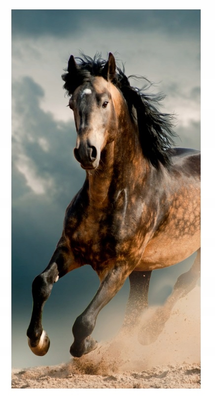 

Ręcznik Kąpielowy Plażowy Dziecięcy Koń 005 70x140