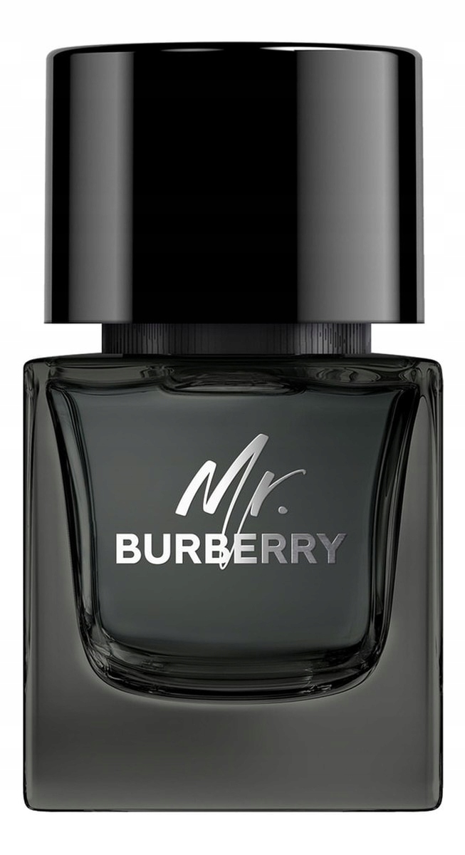 Burberry Mr.Burberry Parfémovaná voda sprej 50 ml