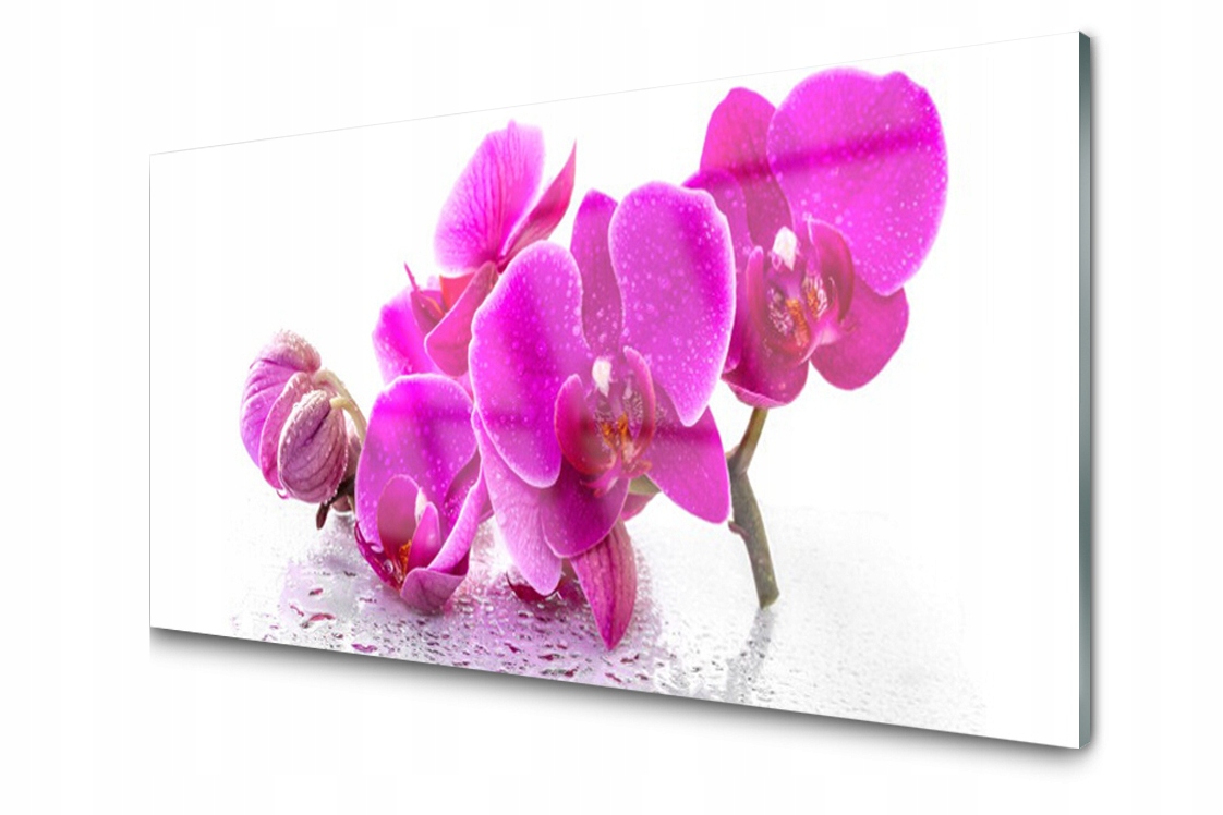 

Panel szklany dekor Kwiaty Roślina 120x60 + Klej