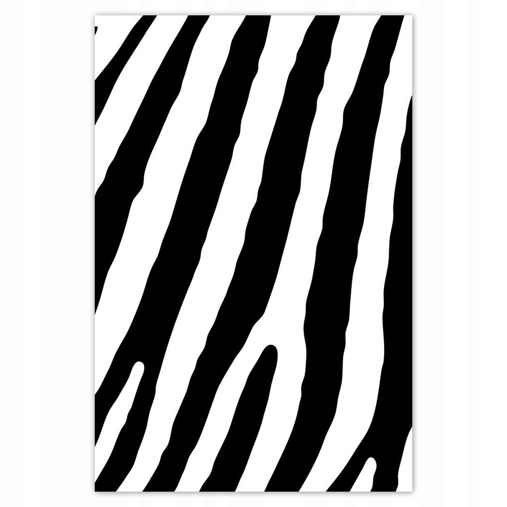 

Plakaty 80x120 Zebra Paski