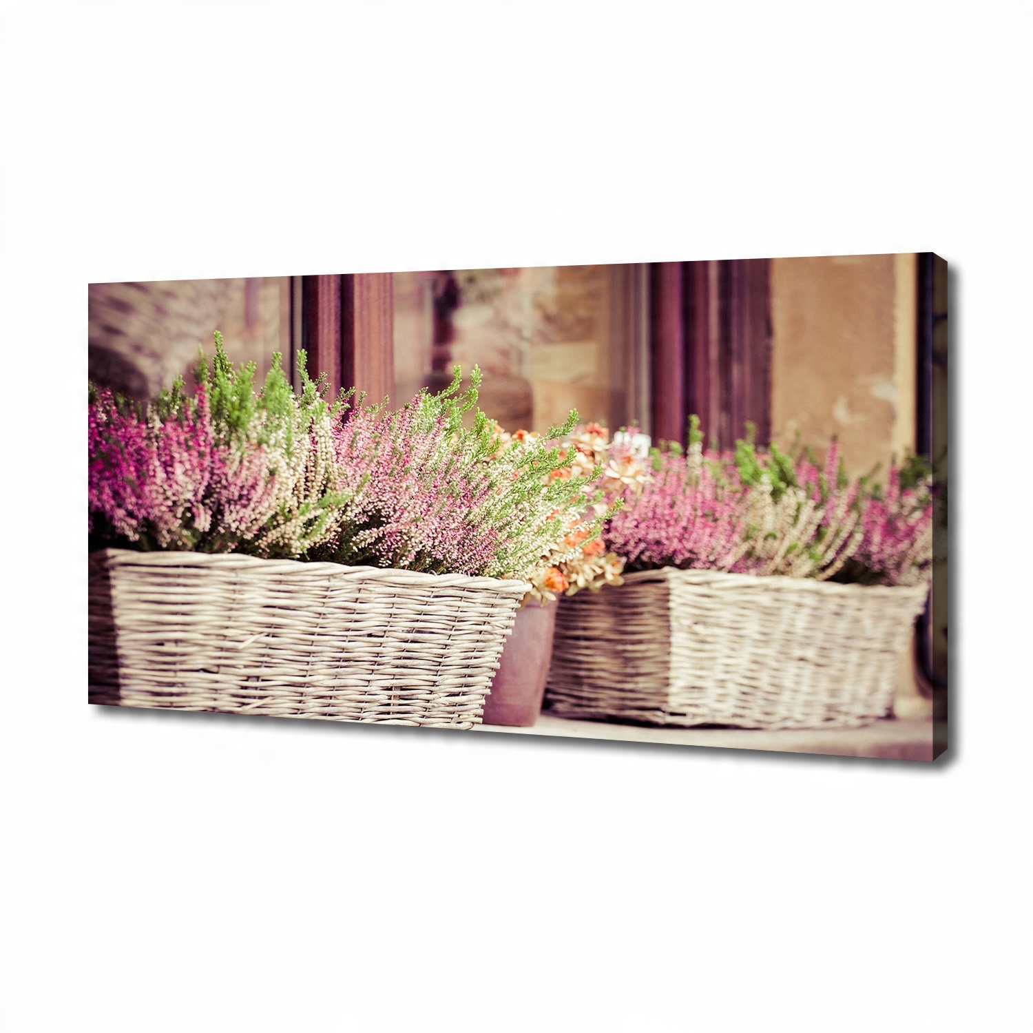 

Foto obraz na płótnie Lawenda w doniczce 140x70 cm