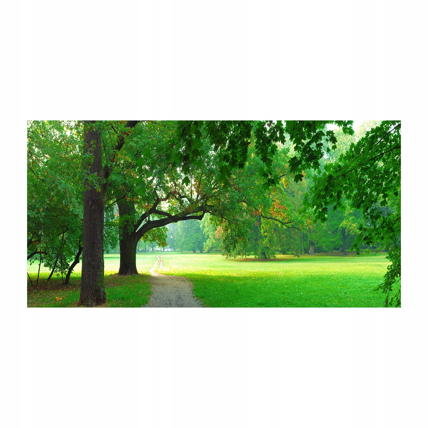 

Foto obraz akryl zdjęcie Park jesienią 120X60 cm