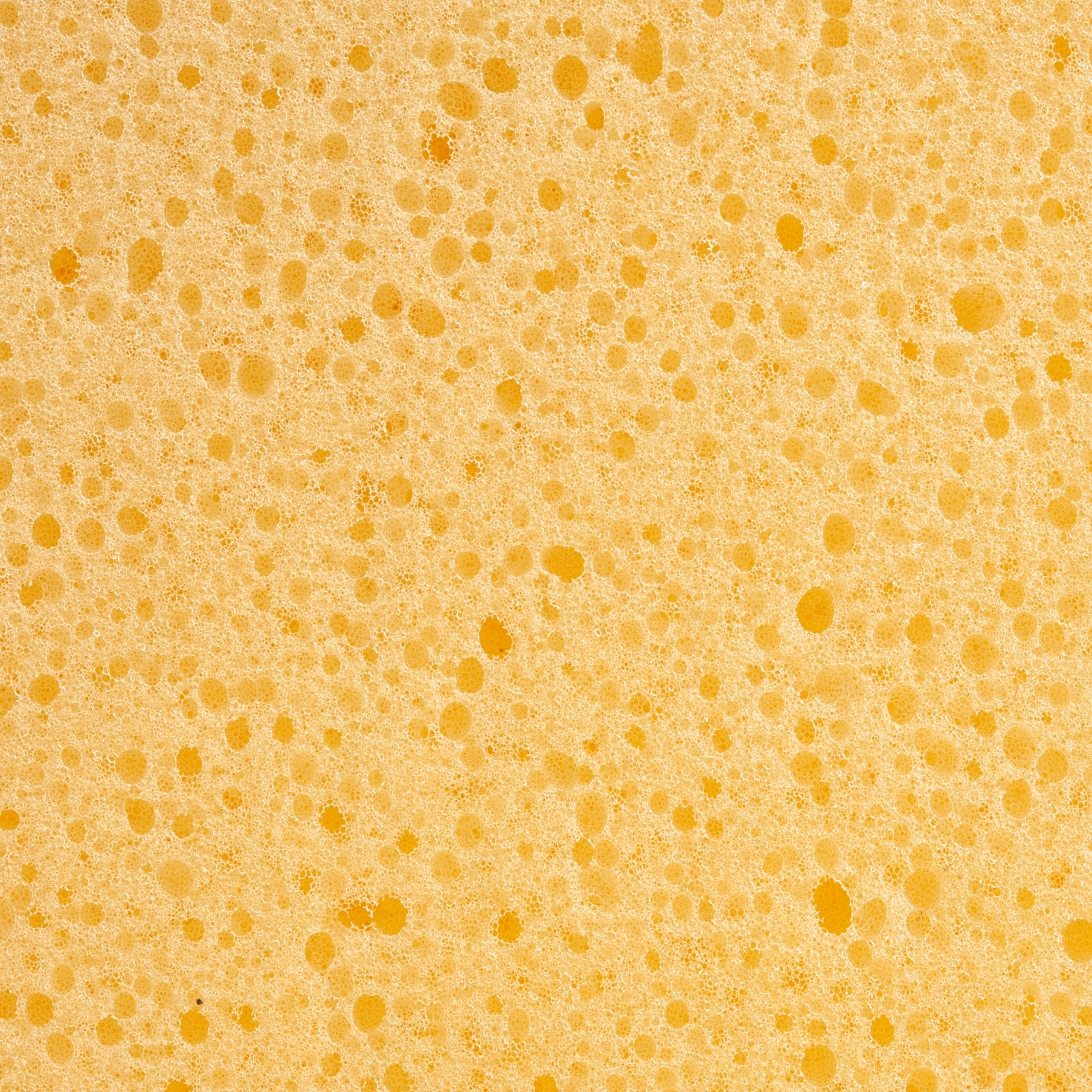 COMENSAL Paca glazurnicza L z gąbką HYDRO 30mm Rodzaj pacy z gąbką