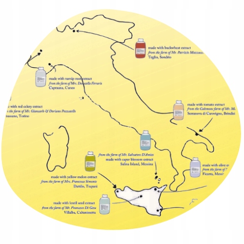 Szampon davines 250 ml dodatkowa objętość Marka davines