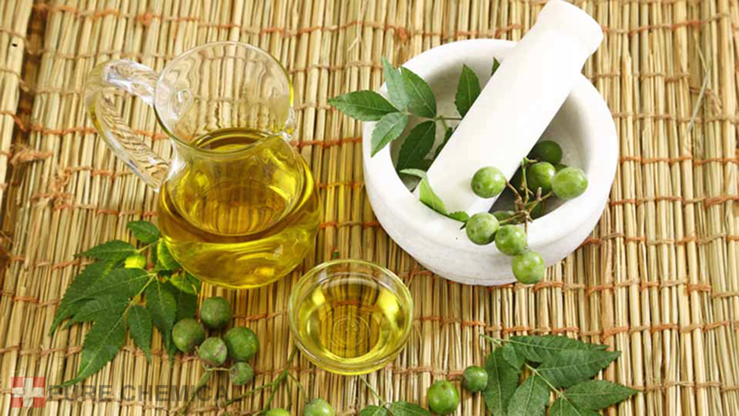 OLEJEK NEEM NIERAFINOWANY TŁOCZONY NA ZIMNO 100ml Rodzaj Inny