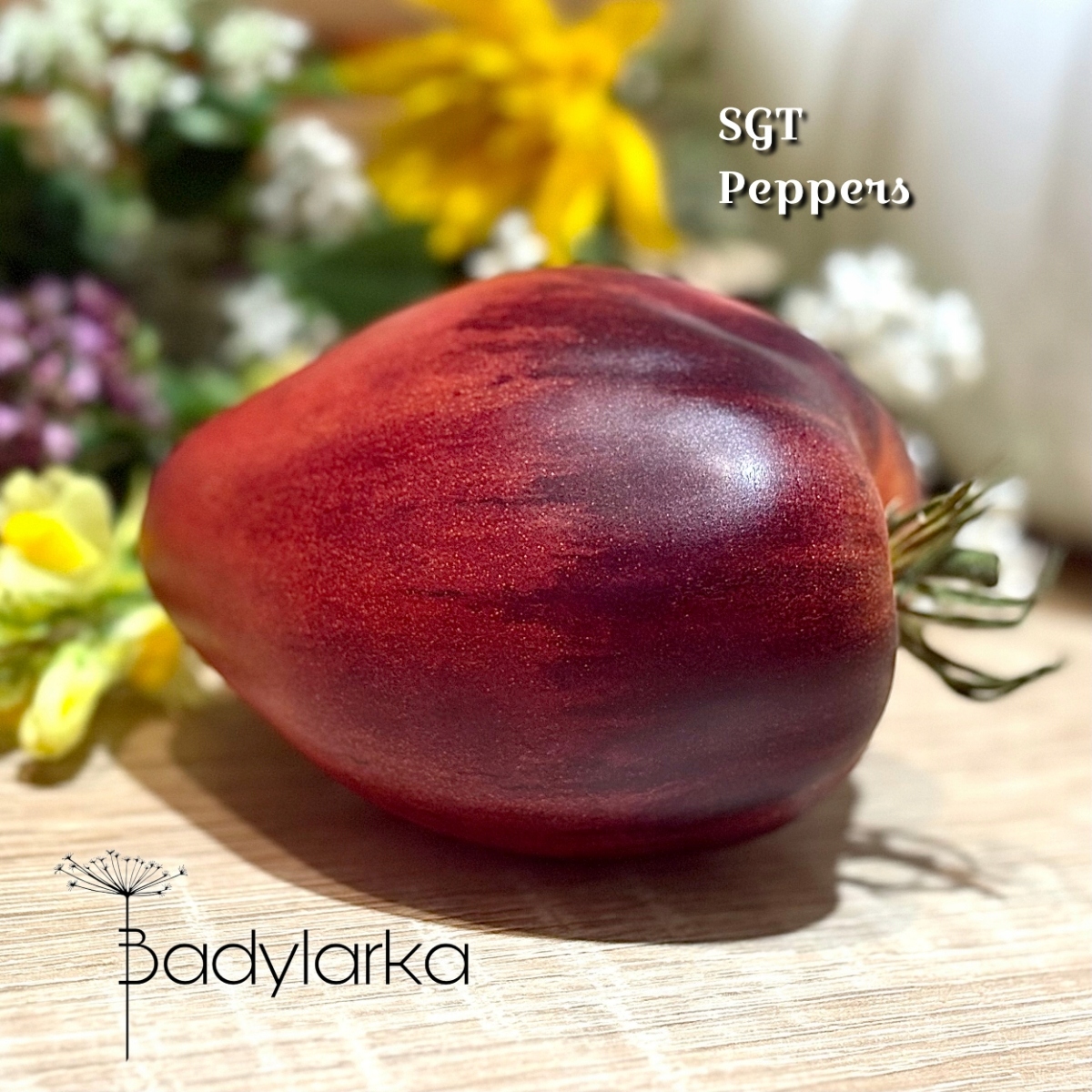 Pomidor SGT Peppers