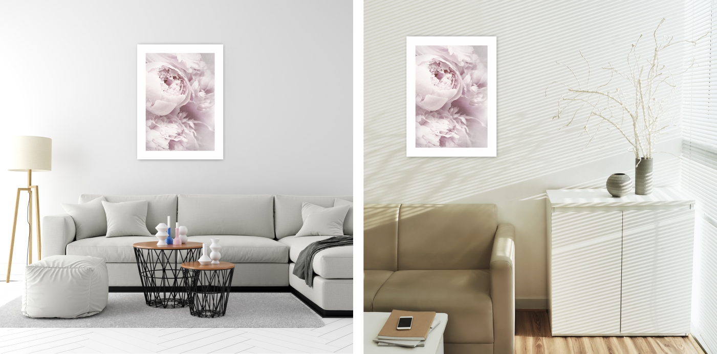 PIWONIE PEONIE KWIATY plakat 40x50 cm #120 Tematyka rośliny