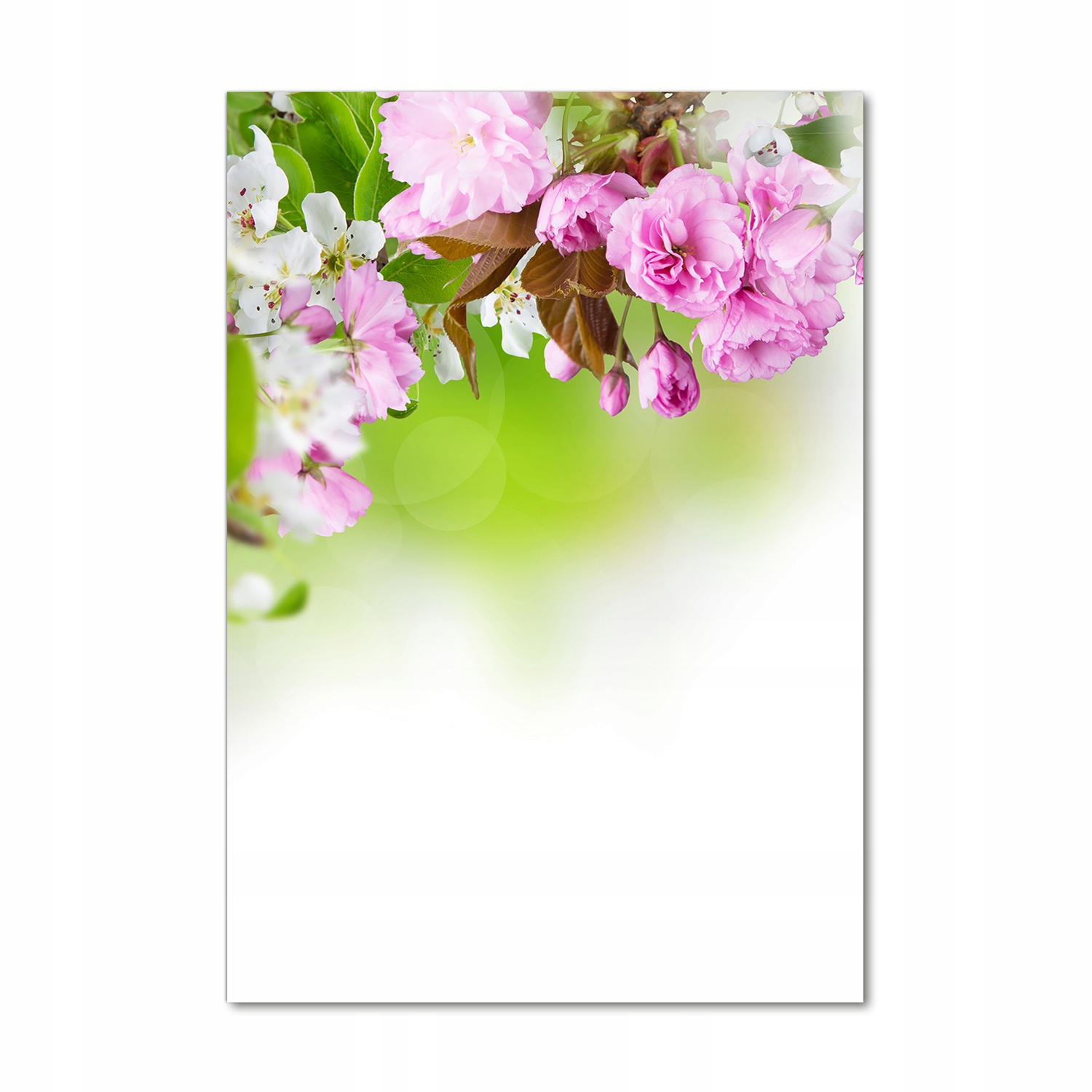 

Foto obraz szkło akrylowe Wiosenne kwiaty 70x100cm