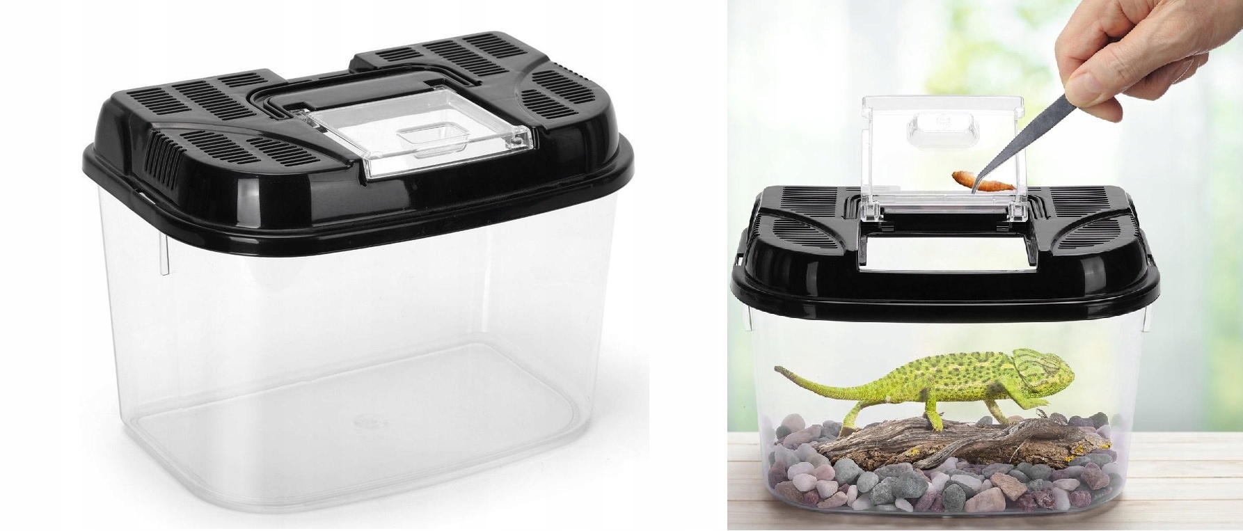 

Faunarium Terrarium Dla Płazów Gadów Pająków XL