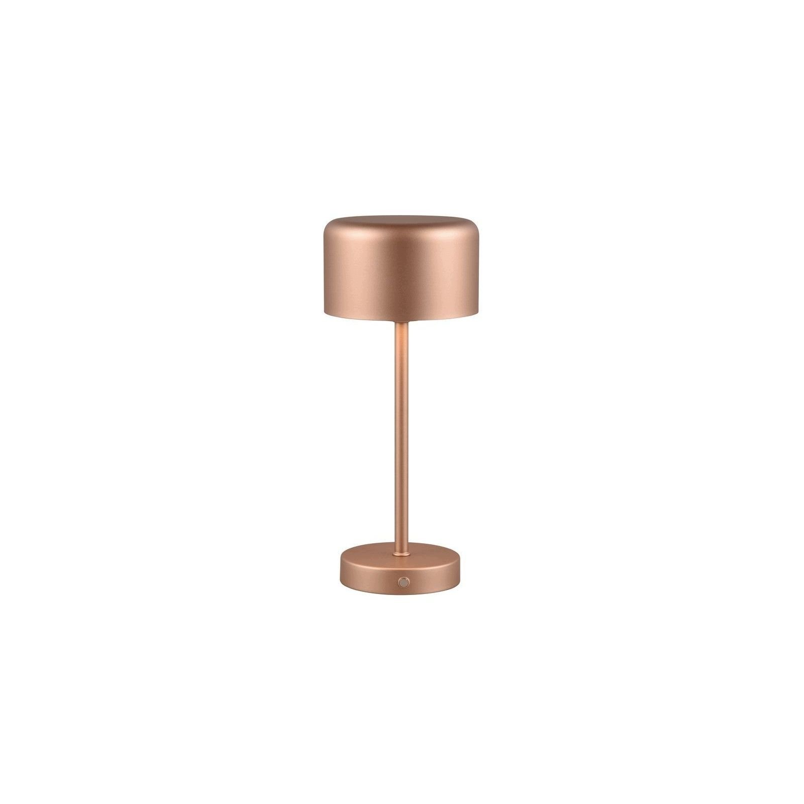Stolní Led lampa 1,5W Karya DL165-59151 Rl