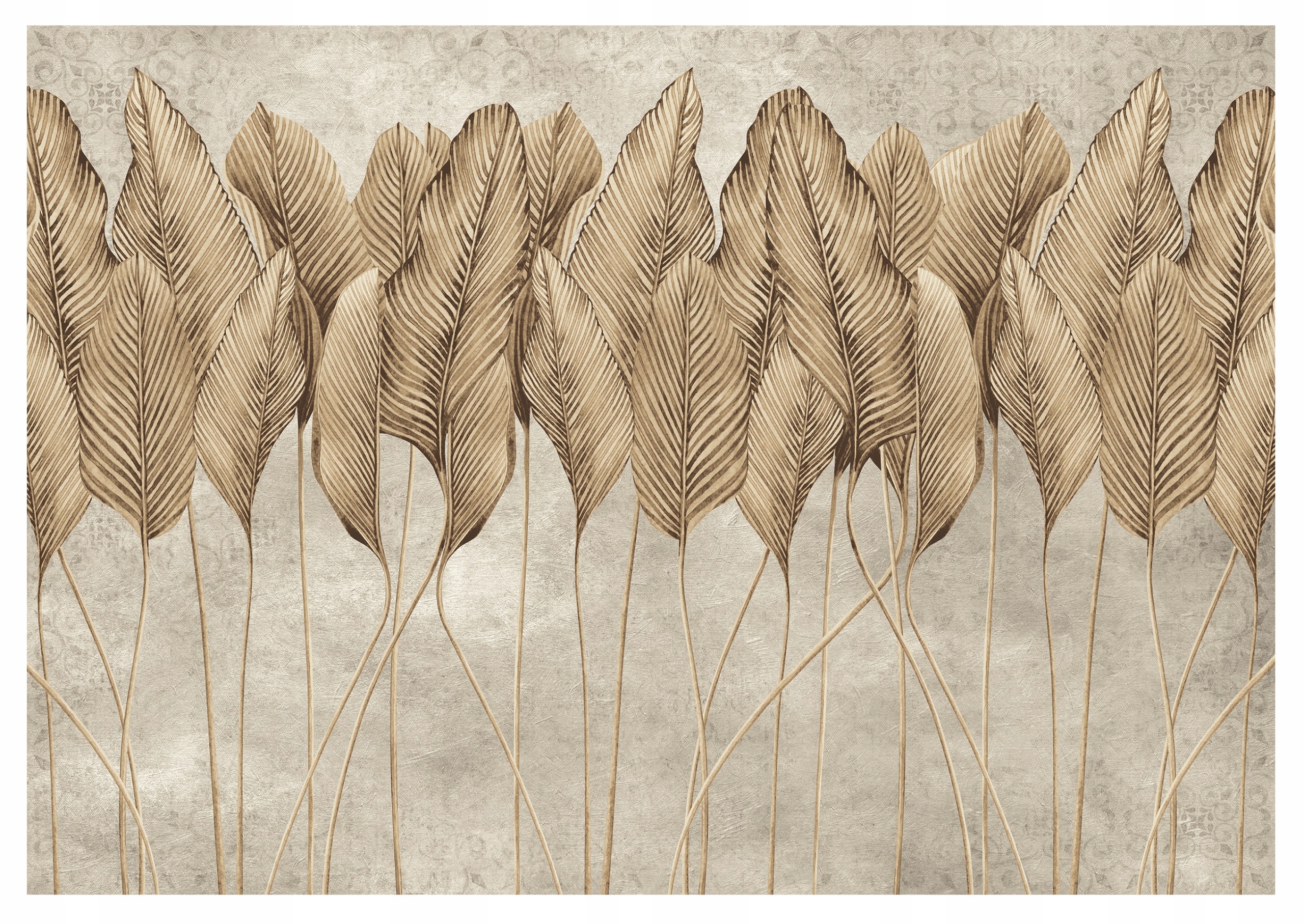 Vinylová fototapeta Boho Perie Betón Mur 312x219