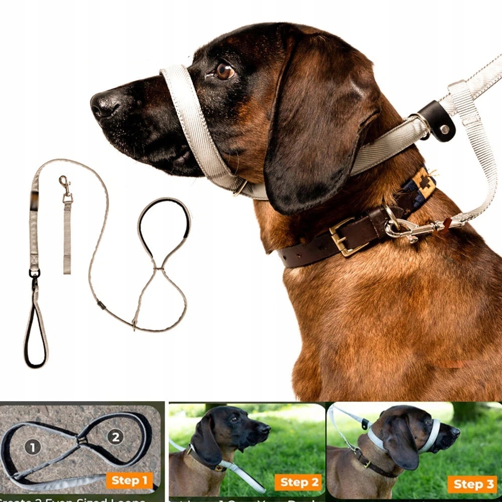 Vodítko pro výuku chůze bez tahání 2 m, pohodlný