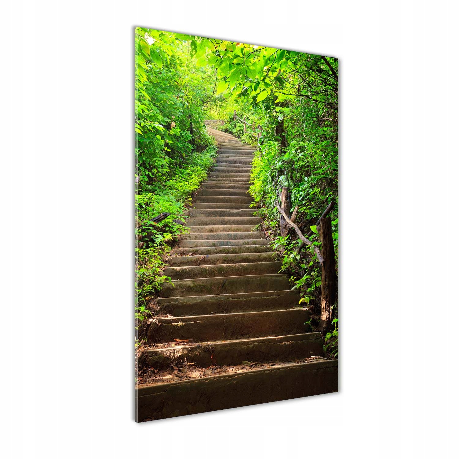 

Foto obraz akryl do salonu Schody do lasu 70x140cm