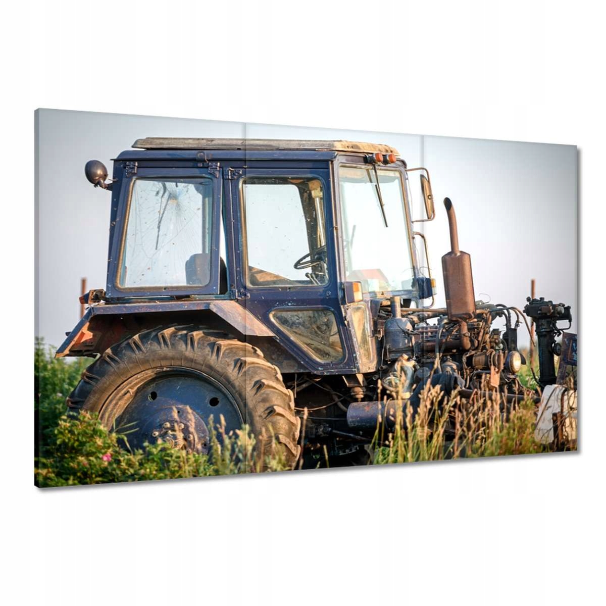 Obrazy 120x80 Starý traktor na poli