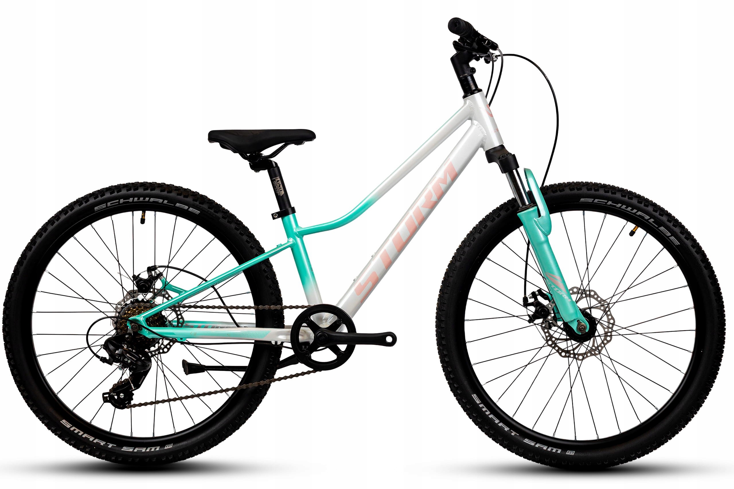 Rower Junior 24 Storm Mtb Queen Tourney 1X7 2MD 11 Perła-turkus