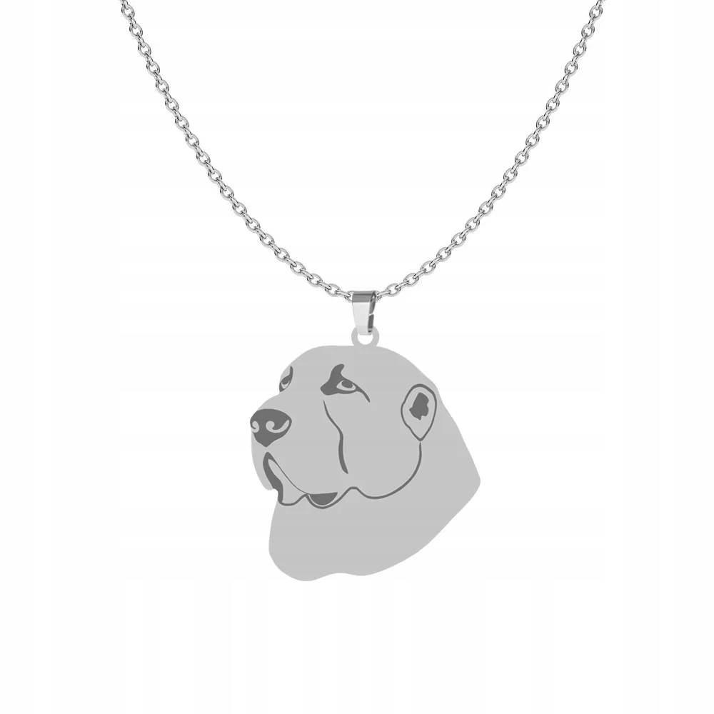 Stříbrný náhrdelník se středoasijským ovčákem 925 Šperky Dárek Gravírování