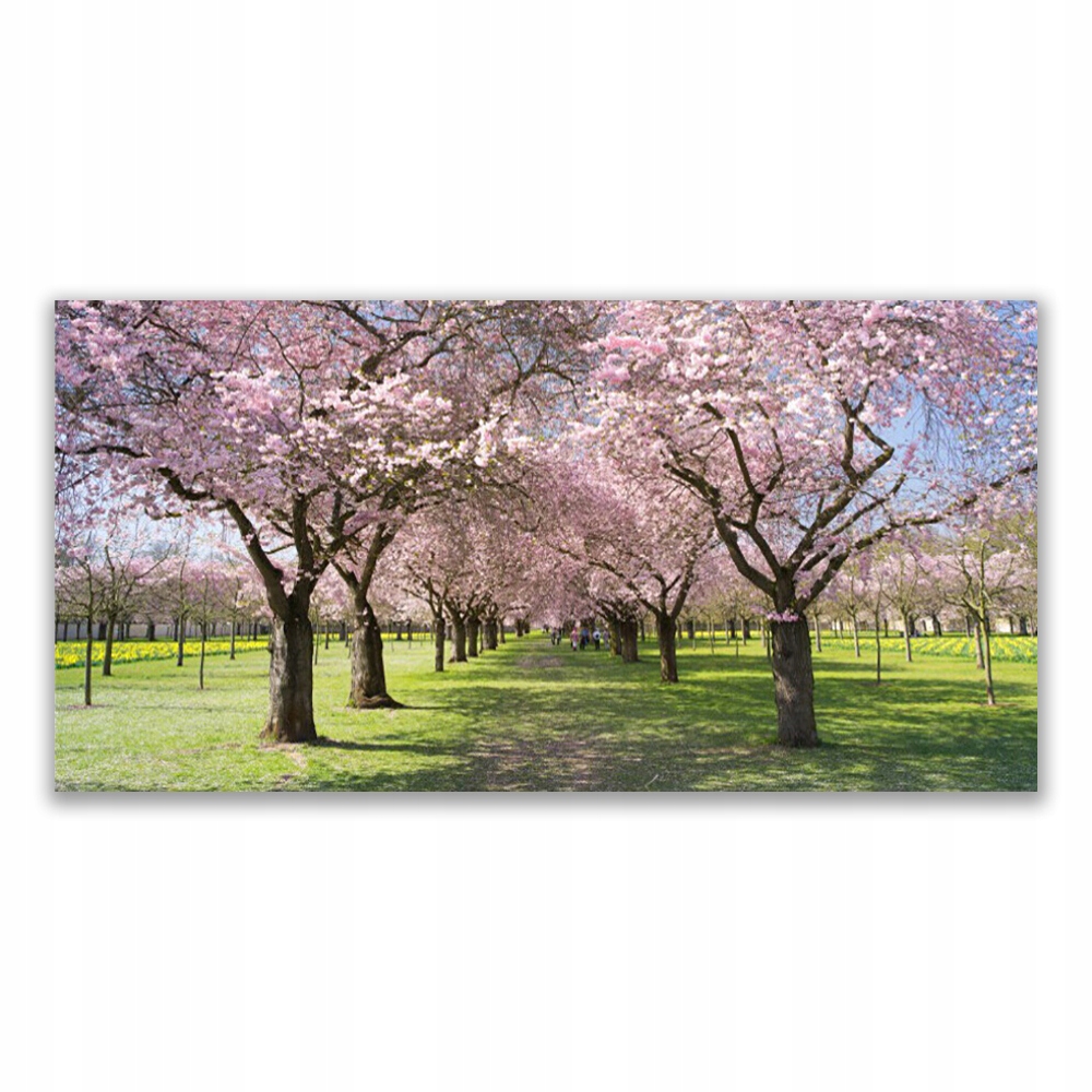 

Fotoobraz na ścianę 120x60 Ścieżka Drzewa Natura