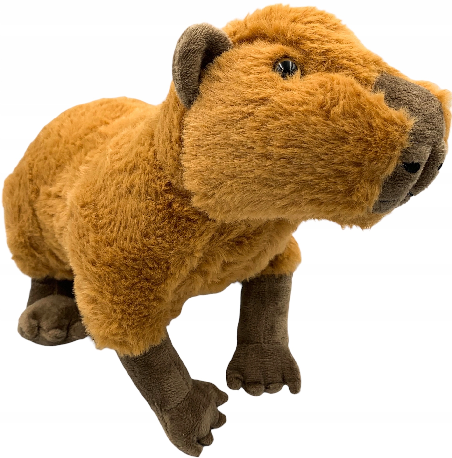 

Pluszowa kapibara pluszak przytulanka zwierzak