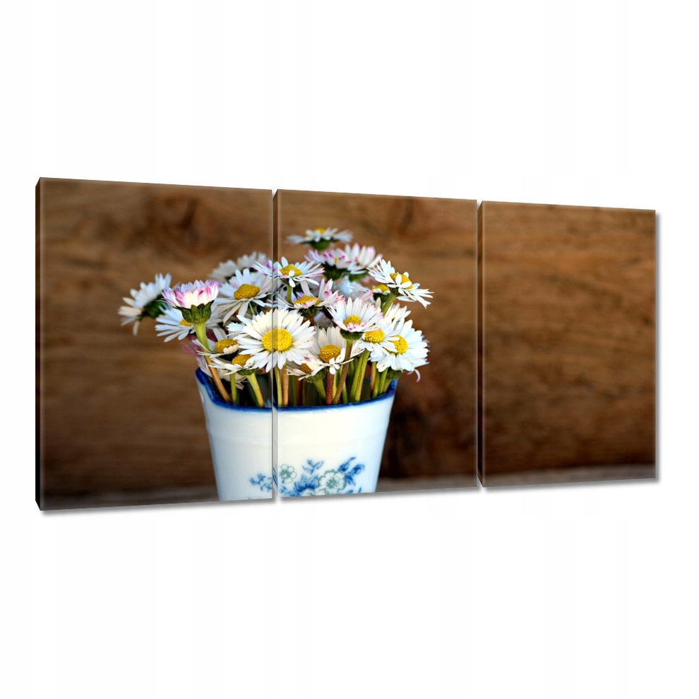 

Obrazy 120x60 Poranne stokrotki