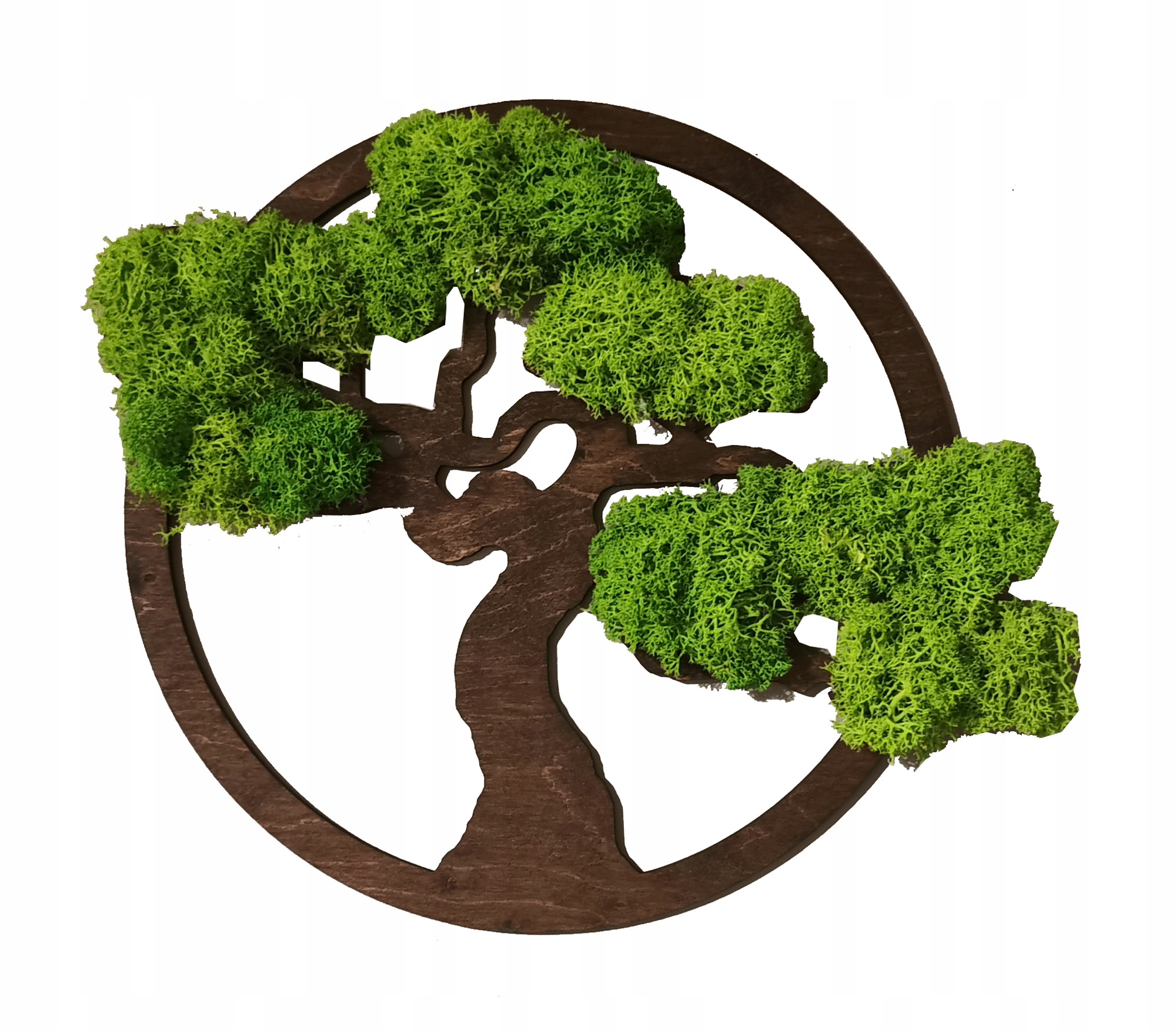 Obraz Strom Bonsai Dekorativní Mech Chrobotek 30