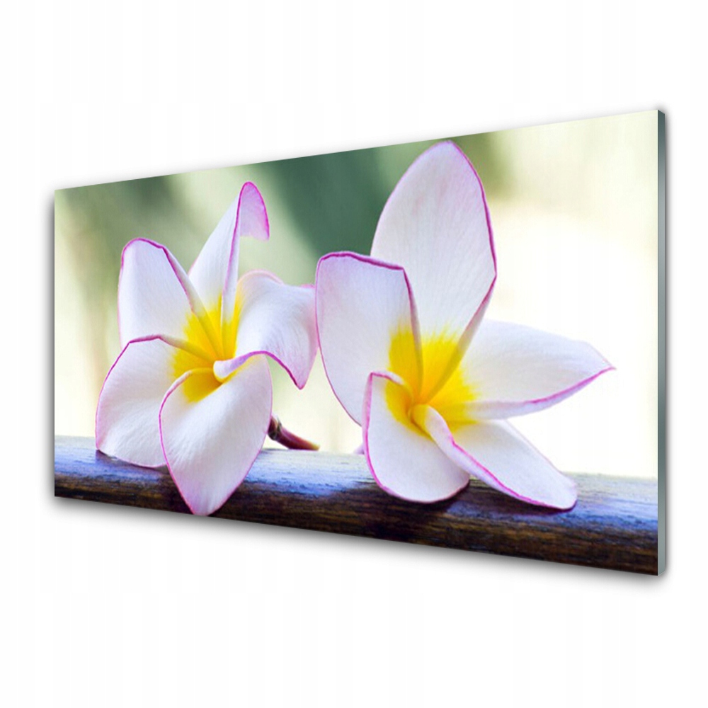 Moderní obraz 100x50 Květiny Vločky Plumeria