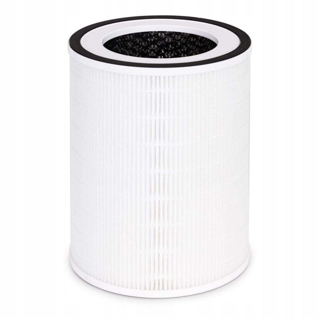 Filtr powietrzny do oczysczacza powietrza Webber AP8250