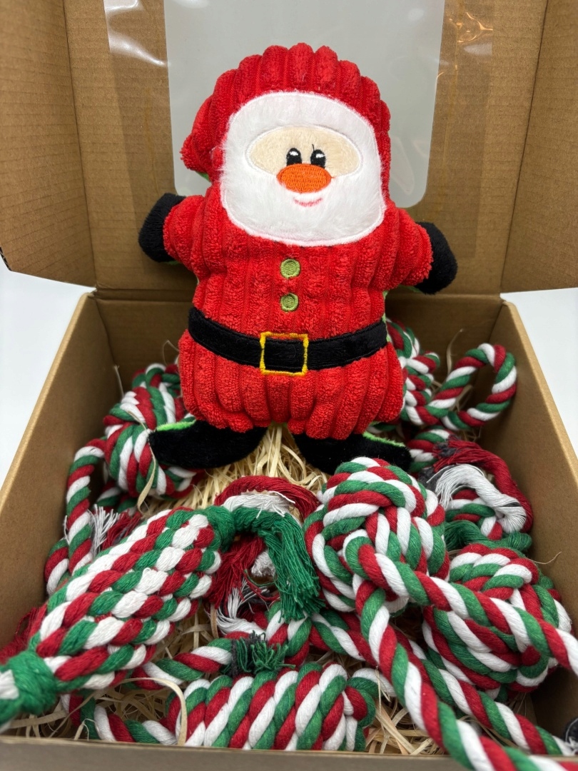 Levně Vánoční sada pro psa s Mikulášem