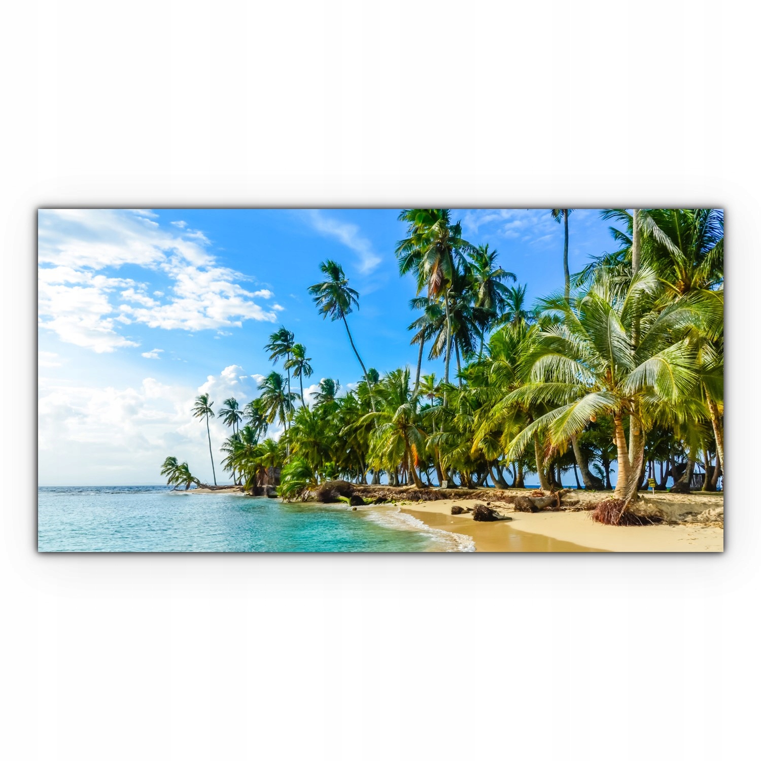 

Obraz Canvas dekoracja 100x50 Tropiki Wyspa Plaża