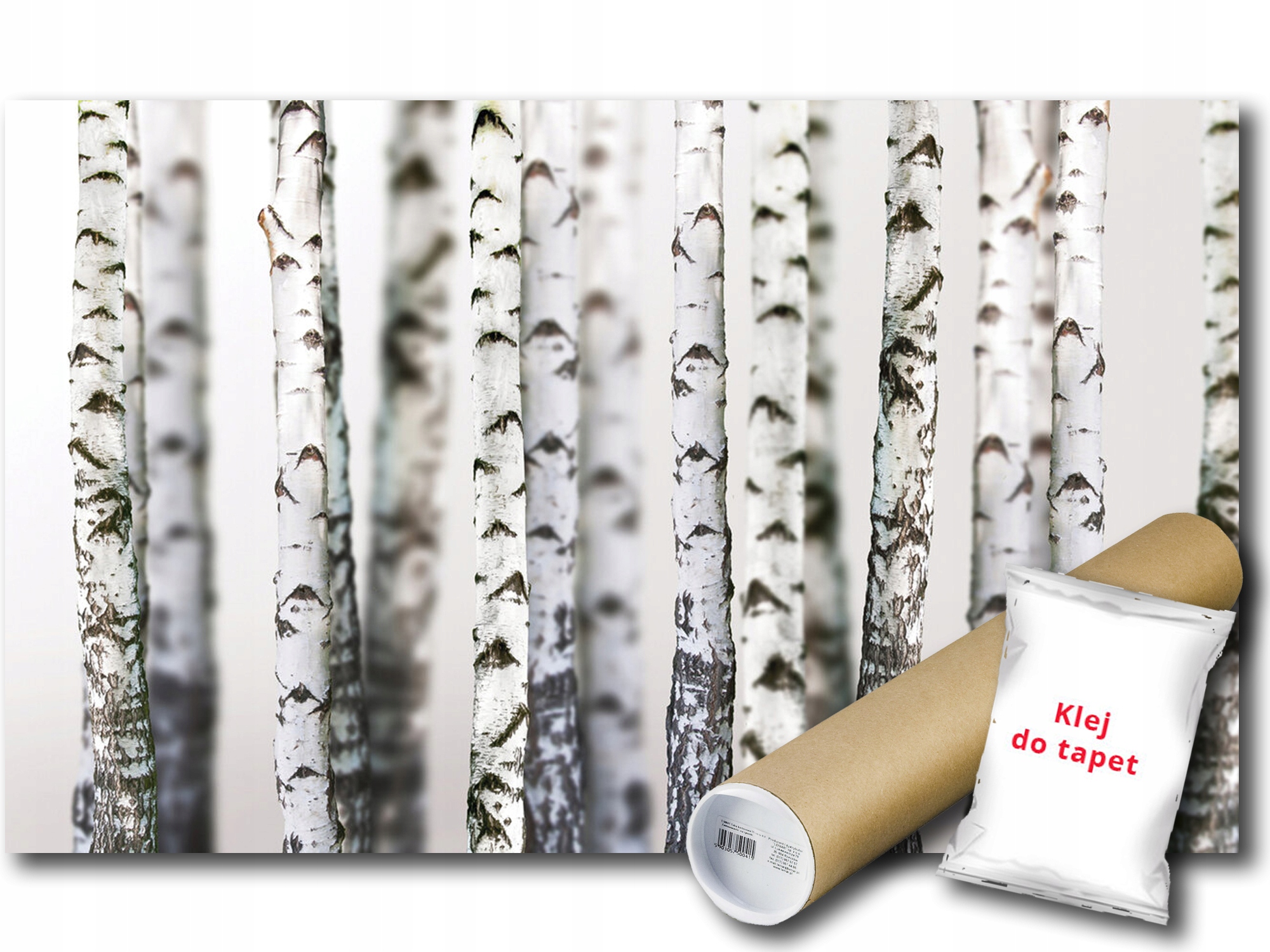 Vinylová Fototapeta Les Stromy Břízy Kmeny Příroda 3D 416x254