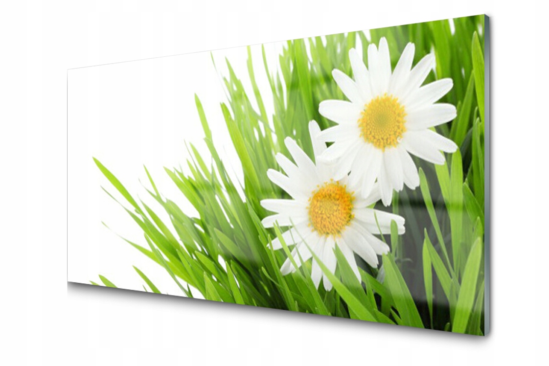 Sklenený panel Doska Stokrotka Kvet 120x60