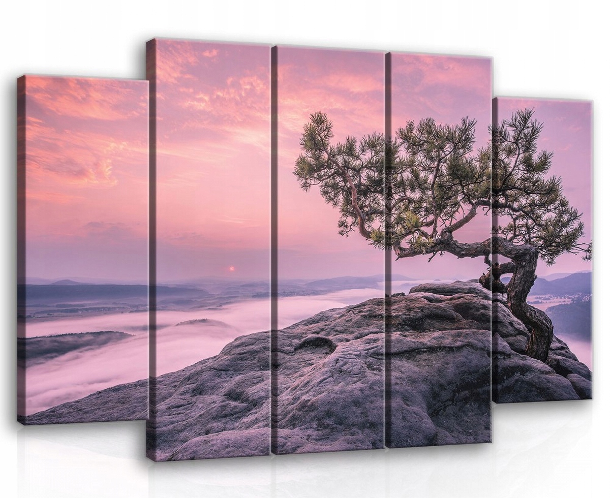 Obraz Na Plátne Canvas 150x100 Hory Strom Svit