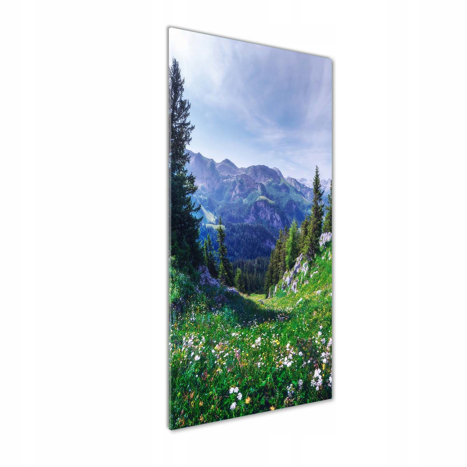 

Nowoczesny obraz zdjęcie na akrylu Alpy 50x125cm
