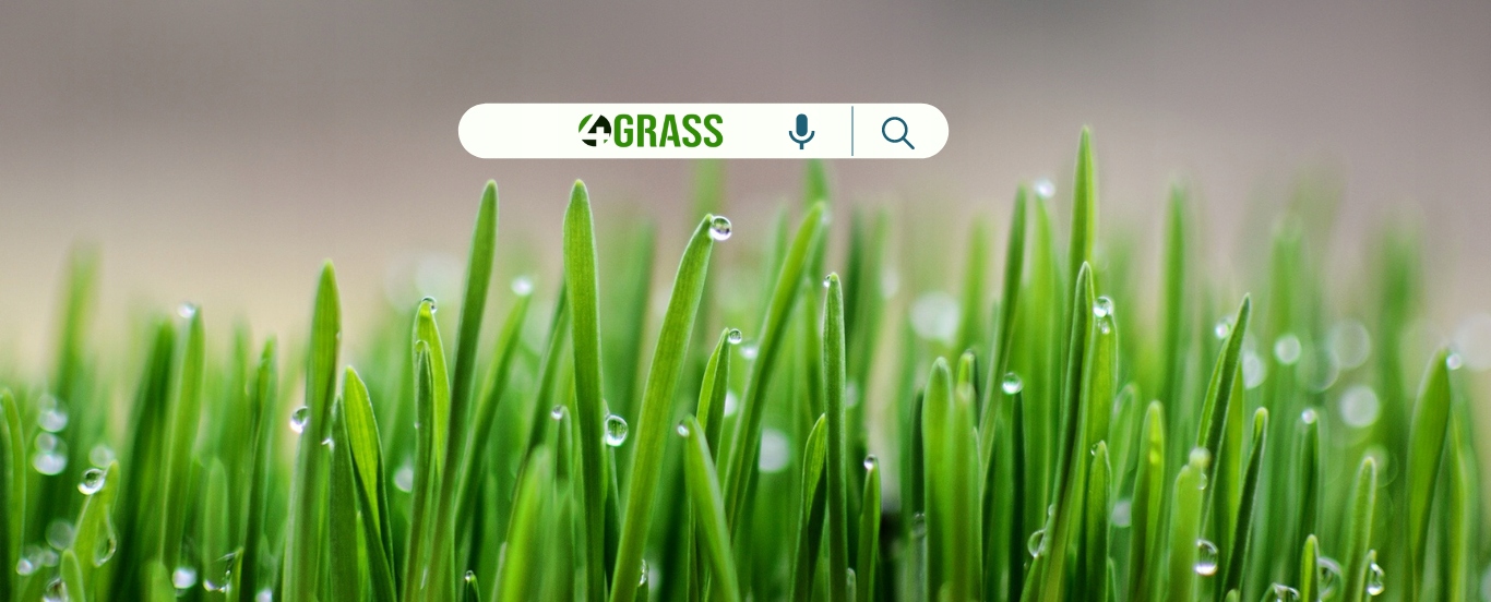 Zraszacz Rotacyjny PGJ 04 HUNTER + Drzewko dysz Typ automatyczne wynurzalne