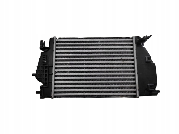 X-TRAIL T32 QUASHQAI J11 1.6DCI INTERCOOLER 14461-4BE0A