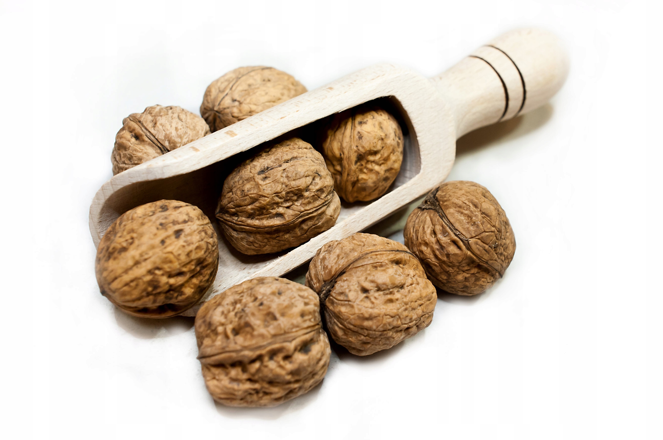 Vlašské Ořechy Ve Skořápce 5 Kg Sklizeň 2025 Polské