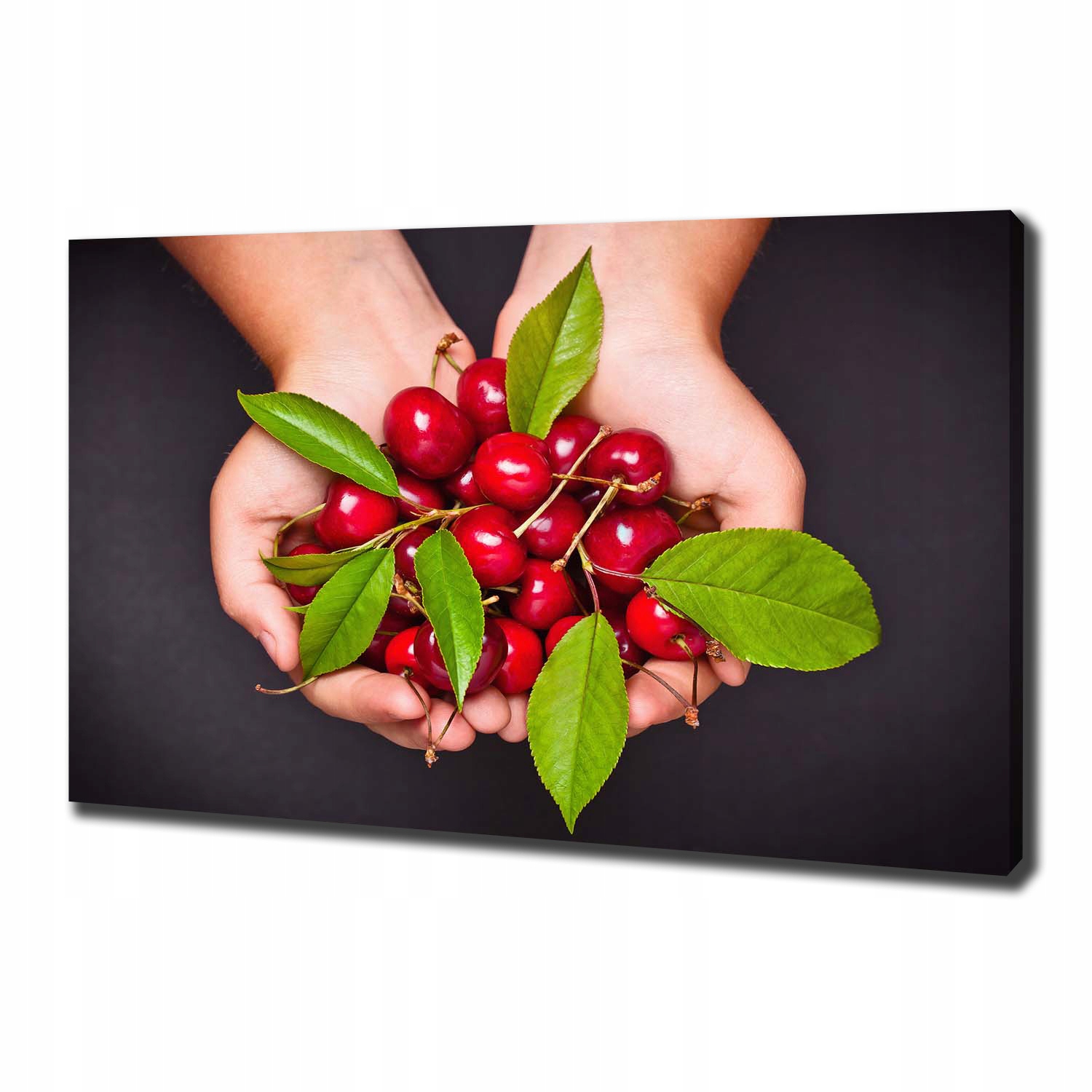 

Foto obraz na płótnie Wiśnie w dłoniach 100x70 cm